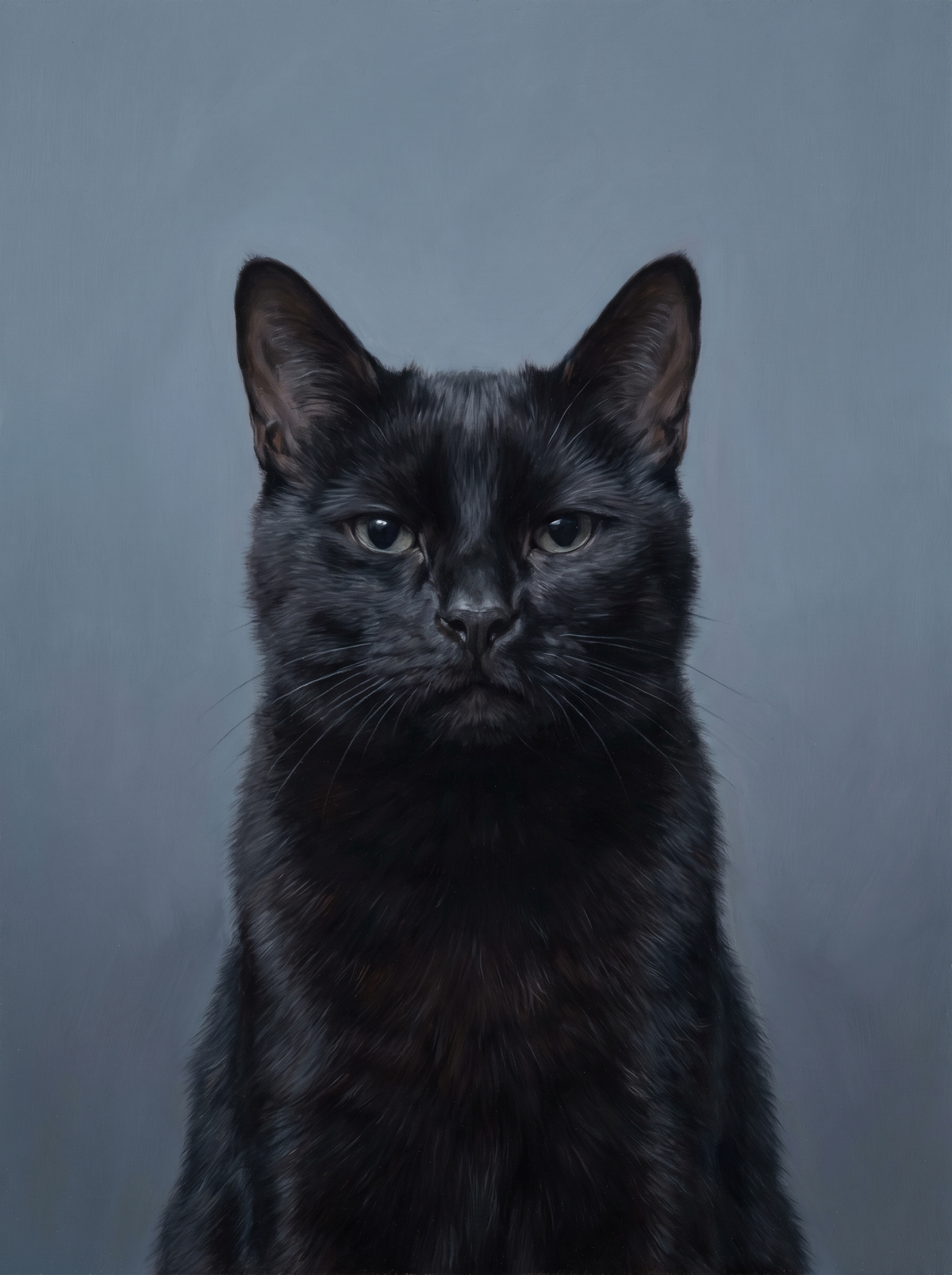 A cat in the Forever Dusk memorial style: low dusk light on a muted blue-grey background