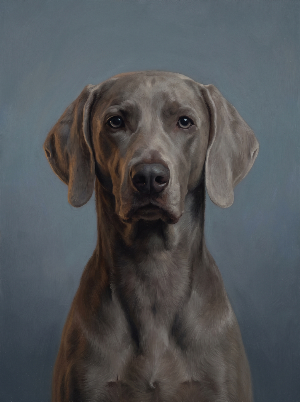 A dog in the Forever Dusk memorial style: low dusk light on a muted blue-grey background