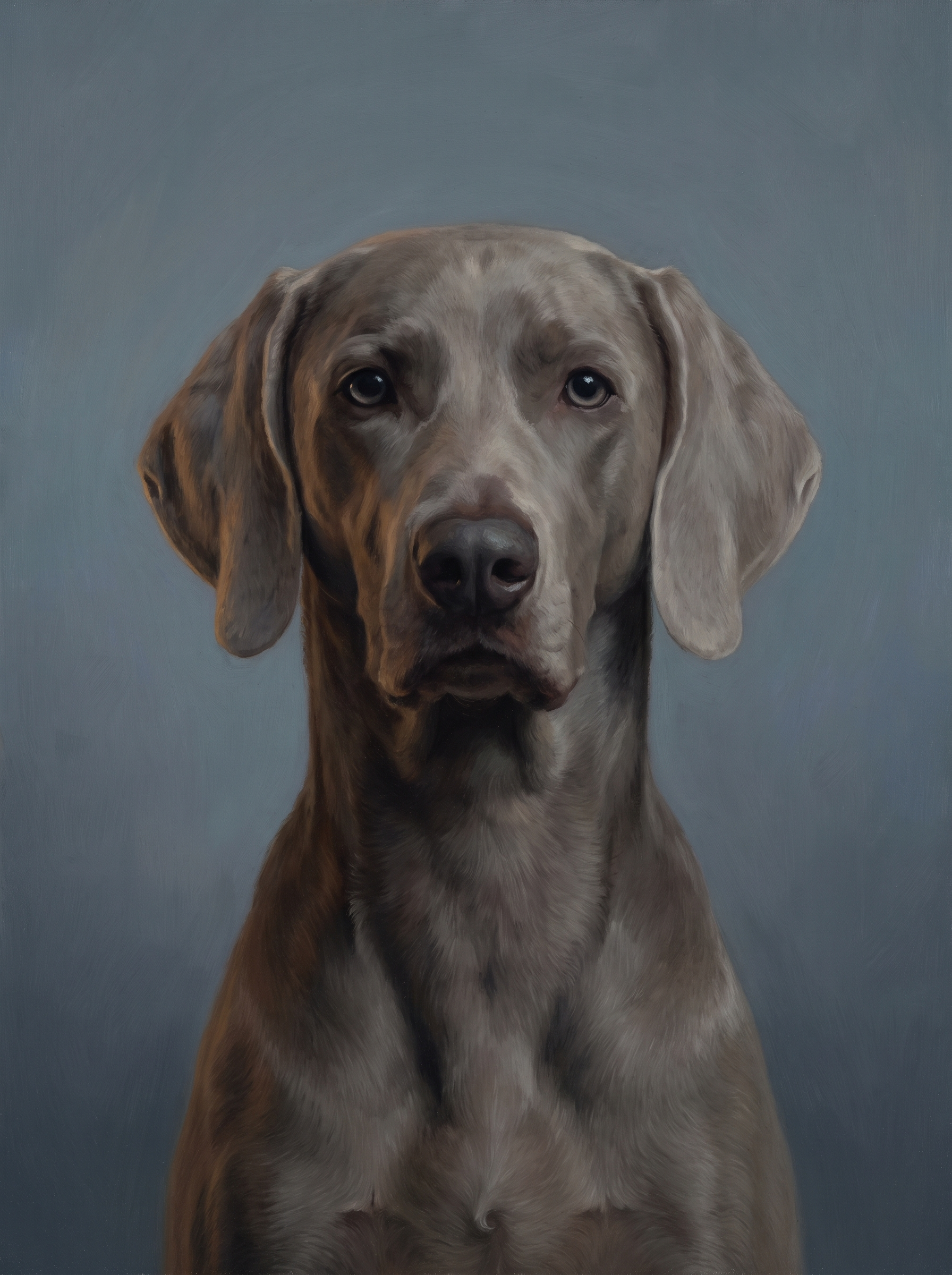 A dog in the Forever Dusk memorial style: low dusk light on a muted blue-grey background