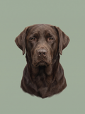 A dog in the Studio portrait style: clean portrait on a solid sage background