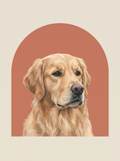 A dog in the Studio Arc portrait style: a flat terracotta arc on a bone ground