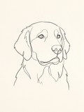 A dog in the Studio Line portrait style: a single ink line on warm paper white