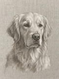 A dog in the Forever Linen memorial style: a near-monochrome portrait on textured linen