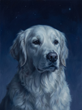 A dog in the Forever Nightfall memorial style: a deep indigo night sky with faint stars