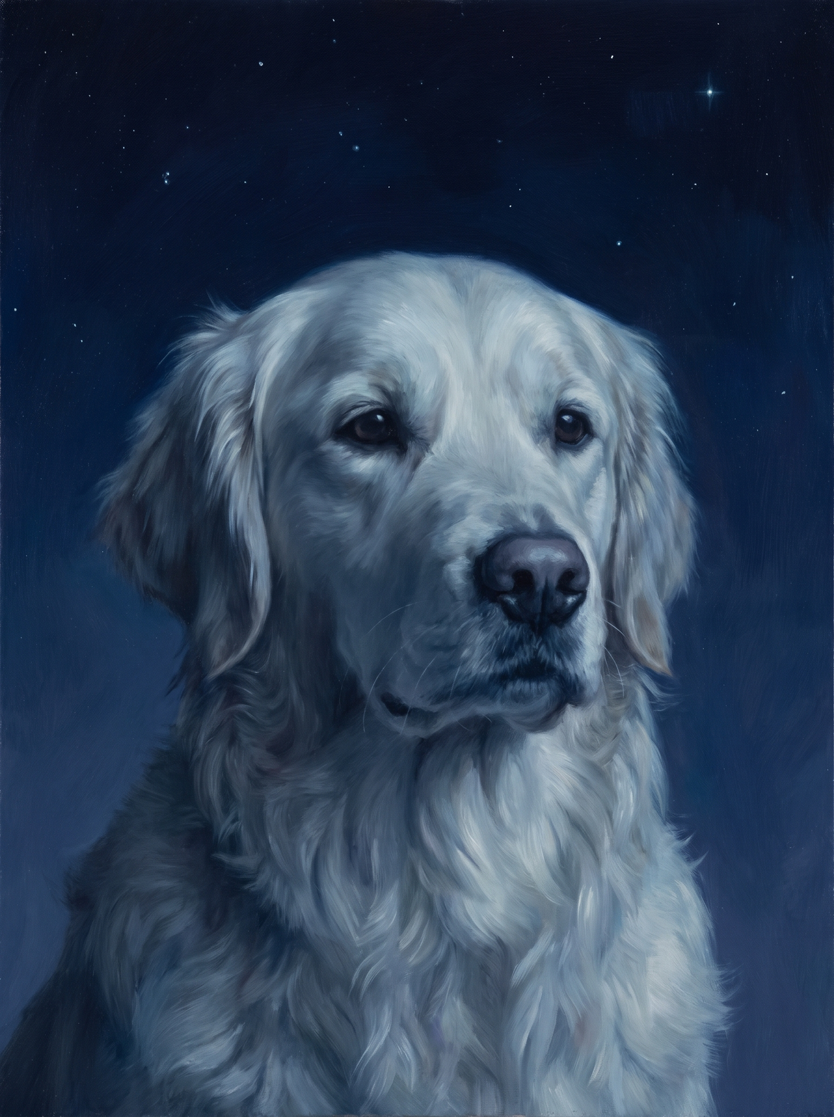 A dog in the Forever Nightfall memorial style: a deep indigo night sky with faint stars