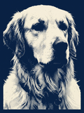 A dog in the Studio Duotone portrait style: a two-colour screen print in navy and bone